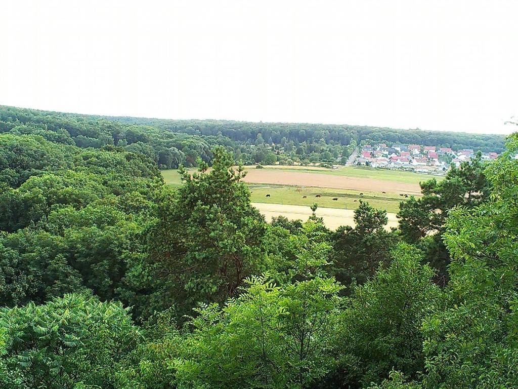 Mullers Hotel & Restaurant แอร์ฟวร์ท ห้อง รูปภาพ